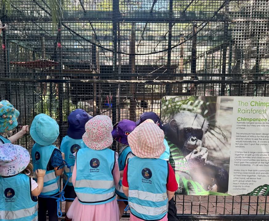Children in Global Sky Education high-visibility vests and sun hats standing at the chimpanzee enclosure at the zoo, photographed from behind, reading the interpretive sign beside them